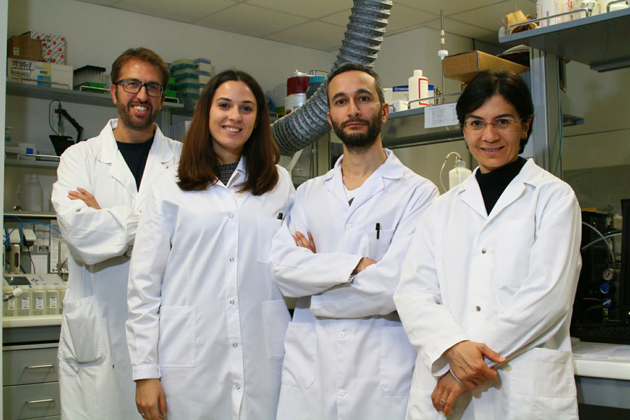 team-biosan-lab