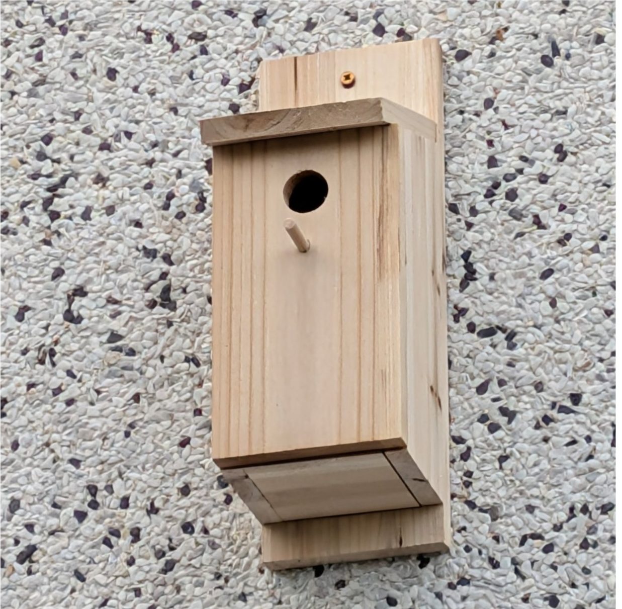 La casetta in legno per gli uccellini, fissata alla parete