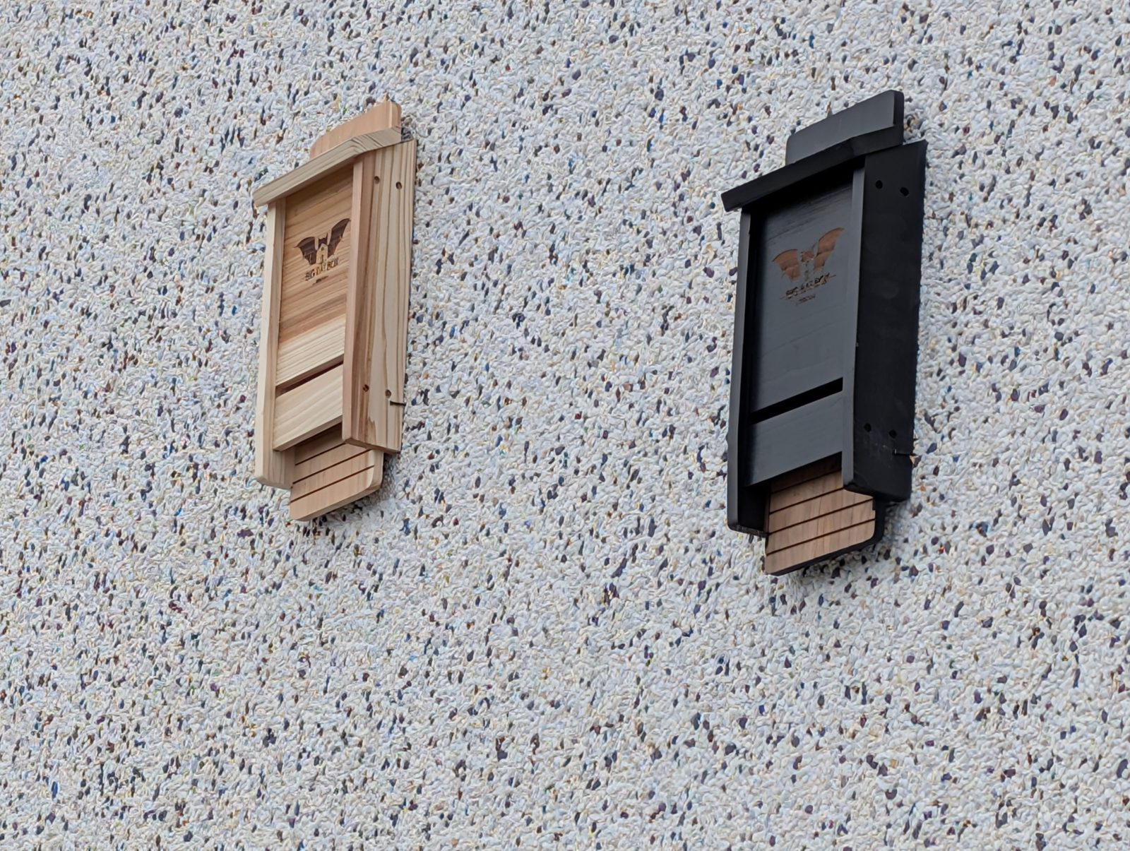 Due rifugi per pipistrelli fissati alla parete, uno in legno naturale e uno nero
